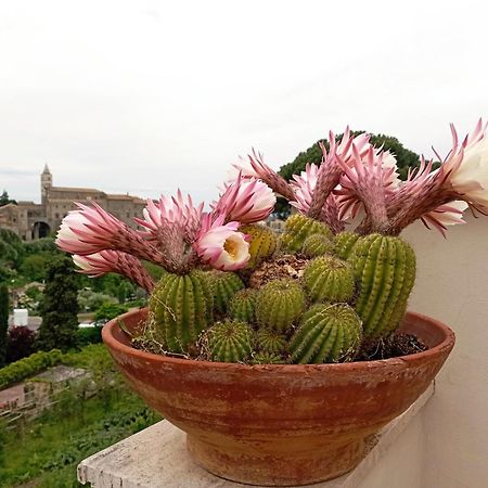 Le Petit Relais Bed & Breakfast Viterbo Exterior foto